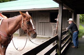 Check spelling or type a new query. Our National Parks » Horseback riding, hiking mean Skyland fun