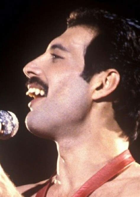 Freddie mercury (born farrokh bulsara; Pin van karin merjenburgh op freddie | Portret, Muziek ...