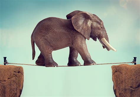 Auf alle fälle ist es hilfreich nach. No seas gallina ¡Arriésgate! | Moi