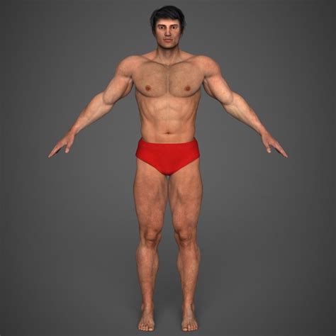 Woman body shape, outline and silhouette template. Man 3D model | Bodybuilders men, Bodybuilding, Man