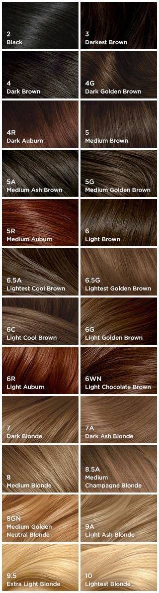 Photos of our hair colors have been taken and listed above. Clairol Perfect 10 by Nice 'n Easy Hair Color - 005A ...