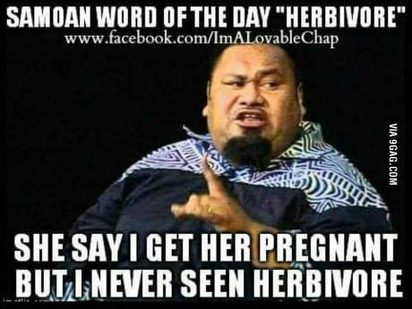 Ten early takeaways from the 2021 stanley cup playoffs. Samoan word of the day for you 9gag | Samoan quotes, Words, Funny quotes