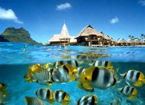 Check spelling or type a new query. KERENGGA: Senarai 10 Pulau Paling Terkenal Dan Tercantik ...