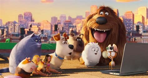 The Secret Life Of Pets: Off The Leash Ride Universal Studios Hollywood
