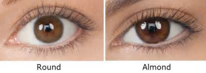 Nice but sure would help if i had elegant almond shaped eyes instead of ginormous en eye me ha with images makeup perfect eyeliner. Introduction to Eyeshadow | Makeup for round eyes, Almond eye makeup, Almond eyes