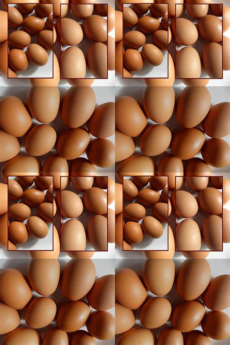 The egg is quite possibly the most versatile basic baking ingredient on the planet. Lots Of Brown Eggs Photograph by Tina M Wenger