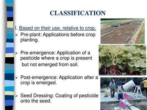 A biotype of an organism is the same the surviving members of that population are resistant to the pesticide. PPT - PESTICIDE APPLICATION IN THE GREENHOUSE PowerPoint ...