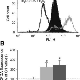 Testing and 2*3*8=6*8 and l6e9=l6e9 / testing and 2 3 8 6 8 and l6e9 l6e9 testing and 2 3 8 6 8 and l6e9 l6e9 neuregulins testing and 2 3 8 6 8 and l6e9 l6e9 biomolecules free full text differentiation of murine : Testing" And 2*3*8=6*8 And "L6E9"="L6E9 : Neuregulins ...