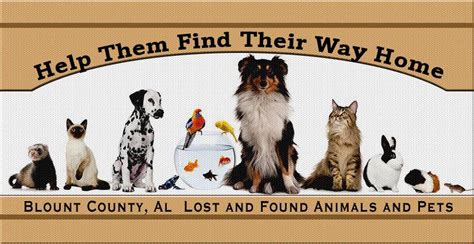 Visit the blount county animal adoption center. Blount County Alabama Lost and Found Animals and Pets