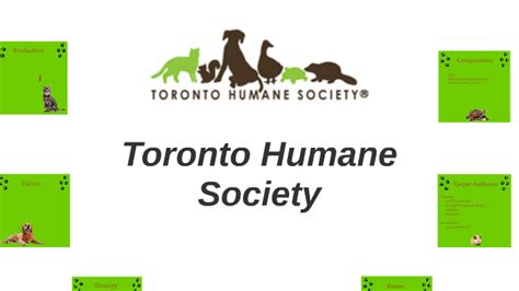 Toronto Humane Society by Kate Nodwell