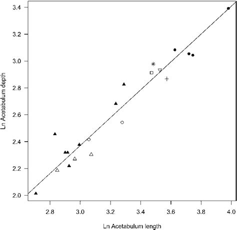 The major axis of the oval is 5. Fig. S4. Reduced major axis fit of ln acetabulum depth (AD ...