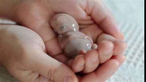 We did not find results for: My Beautiful Baby 13 Weeks - Smag31