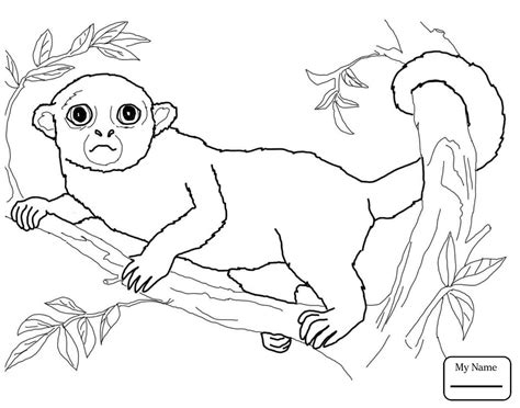 Hd unicorn coloring pages for printing, 100 images coloring page of my little pony. Kinkajou Coloring Pages to Print