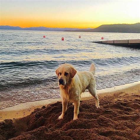 Looking for exclusive deals on beach lake hotels? Action shots: Summer sun and fun on Lake Tahoe ...