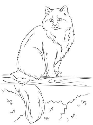 Free printable cat coloring pages. The Norwegian Forest cat is a cat native to Northern ...