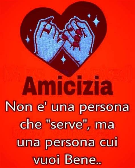 Avere un buon lavoro, una buona salute, e l'amore della propria vita accanto sono le cose. Frasi sull'amicizia | citazioni, aforismi - Saluti al sole