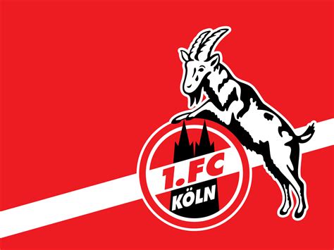 We hope you enjoy our growing collection of hd images to use as a background or home screen for your. 1. FC Köln - Bilder