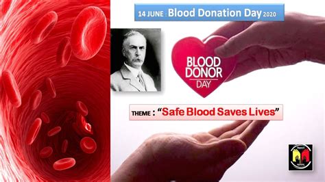 This video shows the importance of blood donation. WORLD BLOOD DONATION DAY 2020 || THEME & IMPORTANCE OF THE ...