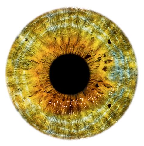 Download the after effects templates today! Colorfull eye lence png