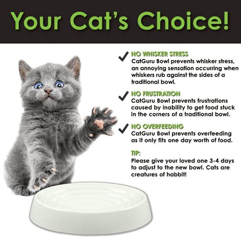 If your cat is eating and alert, there is no cause for alarm. CatGuru NEW Premium Whisker Stress Free Cat Bowls SET OF 2 ...