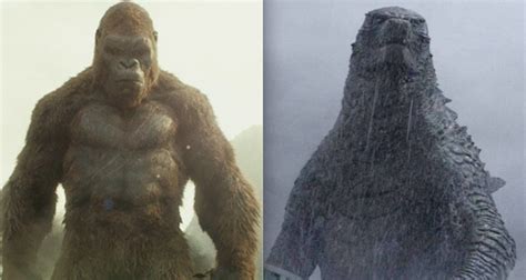 King kong is a massive 104 feet tall their heads are ridiculously long in comparison to their bodies while godzilla has a shorter head. New Fan Theory Confirms Godzilla Was There in Kong: Skull ...