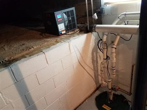 Our field supervisors have over 40 years experience in handling all types of termite and pest control issues. Pest Control Company in Adelphia, NJ | Termites, Bed Bugs ...