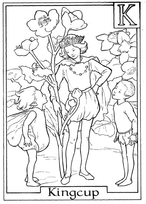 Coloring pages are fun for children of all ages and are a great educational tool that helps children develop fine motor skills, creativity and color recognition! Alphabet Fairy Kingcup Coloring Pages | Fairy coloring ...