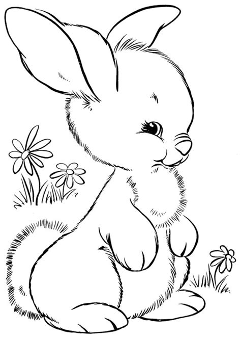 Potete scaricare e stampare tutte le immagini singolarmente oppure tutte insieme in versione pdf 45 Disegni di Conigli da Colorare | PianetaBambini.it