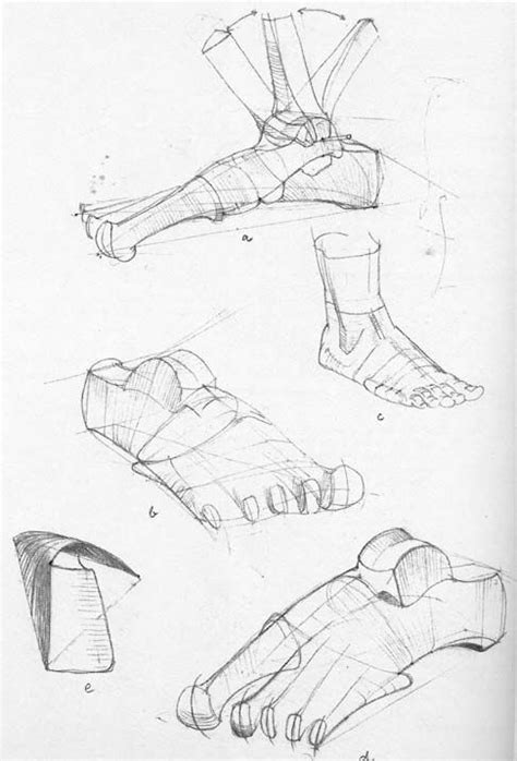 Animal locomotion and design concepts for animators. Gottfried Bammes Complete Guide To Life Drawing Pdf Download