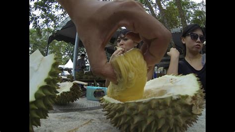 I am such a fan of durians!! Penang Durian trip 2013 - YouTube