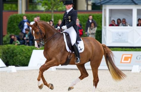 Die sechsmalige olympiasiegerin aus rheinberg gewann mit ihrer stute bella rose auch den grand prix special, die richter bewerteten ihren ritt mit 85,596 prozent. German Masters: Das Supermodel im Viereck - Sport ...