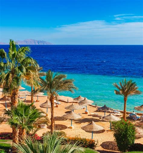 Navštivte egypt, zemi s nekonečnými možnostmi, kde si můžete prohlížet pět tisíc let staré památky, barevný podmořský svět , vyprahlou poušť i rušný život na orientálních bazarech. Egypt dovolená 2021 - zájezdy a last minute levně na ...