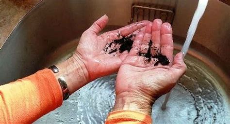 Nak saya kongsikan cara hilangkan kebas tangan, kaki dan badan yang berkesan. 7 Cara Hilangkan Bau Amis Ikan di Tangan dengan Cepat ...