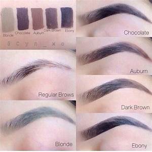 Dipbrow Pomade By Beverly Hills Different Shades Makeup