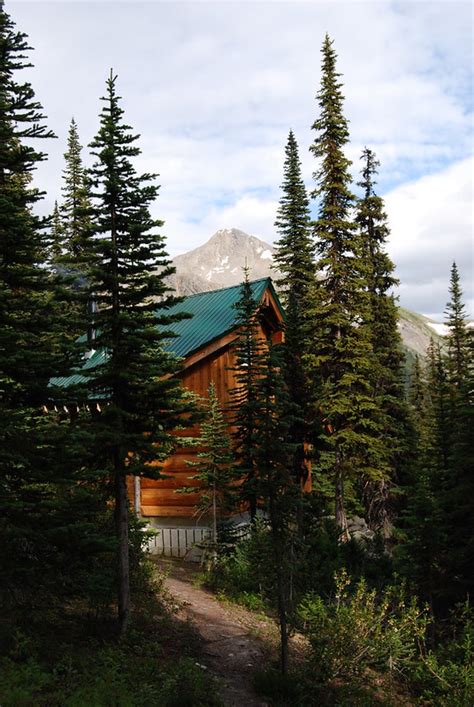 Découvrez toutes les richesses de valemount grâce à cette cabane qui se trouve à quelques pas des sites suivants : Hermit Thrush Cabin, Valemount, BC, Canada - Almost Bananas