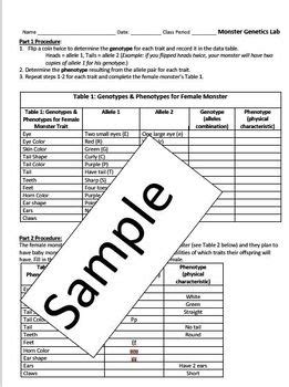 Be sure to draw arrows to specify where you are labeling! Amoeba Sisters Alleles And Genes Worksheet