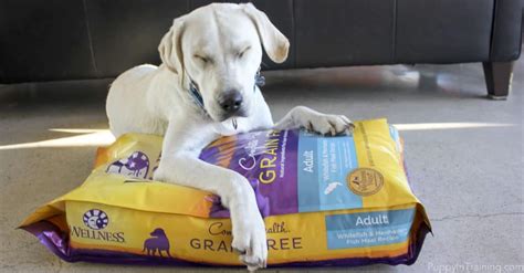 What carbohydrate source is the brand going to use to replace the grains they are removing? Where Can I Get Wellness Grain Free And How Much Should I ...