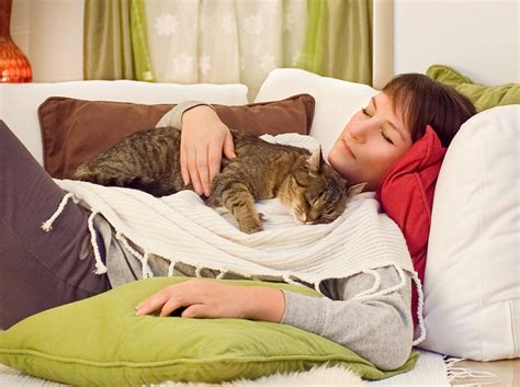 Die geschlechtsreife fällt nicht mit der zeugungsfähigkeit zusammen. Ab welchem Alter sind Katzen geschlechtsreif?