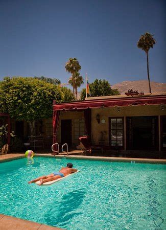 Faaliyetler best friends pet resort. Desert Paradise Gay Men's Resort (Palm Springs, CA ...