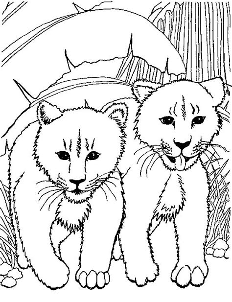 157 likes · 1 talking about this. Kids-n-fun.com | Coloring page Lions Lions