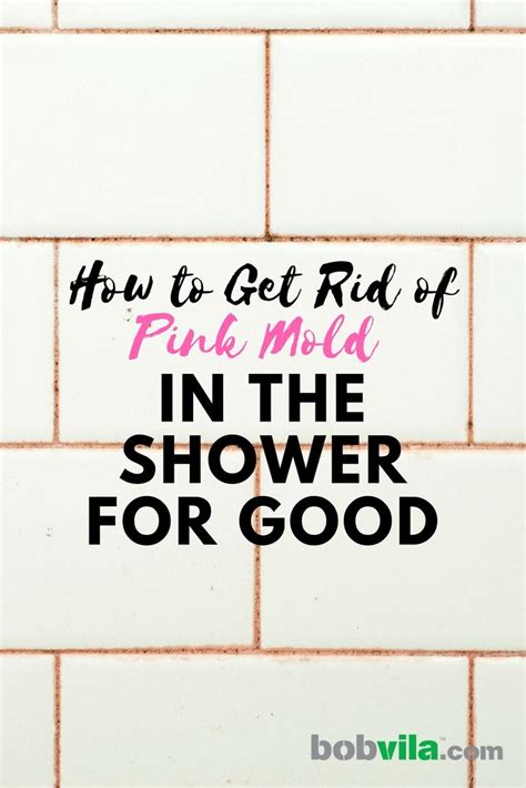 Will vinegar kill pink mold? Solved! How to Get Rid of Pink Mold in the Shower for Good ...