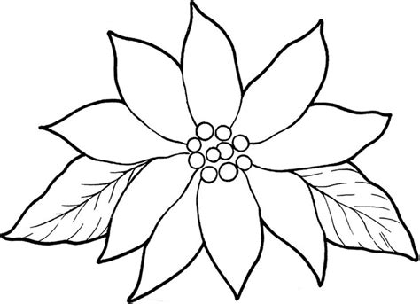 Poinsettia coloring page for kids. poinsettia coloring pages for kids on Colors of Pictures ...