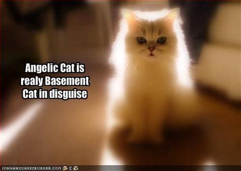 Its online popularity eventually led to several derivative characters, including his nemesis basement cat and two days after the initial ytmnd was created, ceilingcat.com6 was created. Basement Cat always shines ;) (With images) | Basement cat ...