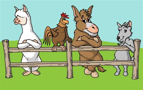 Many petting zoos offer mobile party packages. Petting Zoo | Jump And Slide Entertainment Inc | water ...