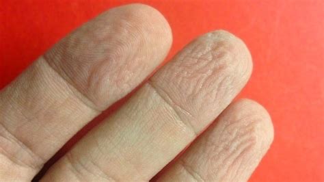 Science puts wrinkled fingers to the test - BBC News