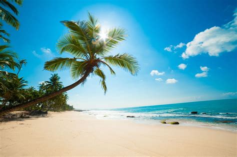 2560x1600 blaue wolken landschaften strand tropischen palmen meer 1920x1080 hintergrundbild. Strand Meer Palmen Beach XXL Wandbild Foto Poster P0321 ...