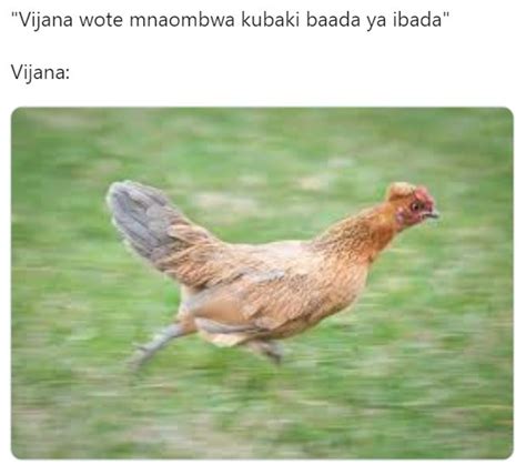Memes funny internet meme trending right makoya netiquette saju winner divertidos itmemes loser serious why hilarious tweets matata hakuna follow. CRAZY: Trending Pics/Memes Going Viral on Kenyan Social Media
