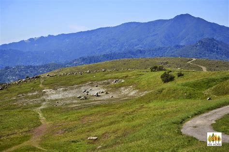 A quick walkthrough of cabin 8 (san andreas) at steep ravine campground in mount tamalpais state park. View of Mt. Tamalpais from Ring Mountain, Marin Co ...