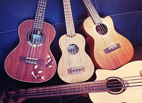 Here are 8 pro tips to avoid mistakes and get the best arrangement poss. Ukulele tracks and song arrangement for $30 : Poliedricsimo - AirGigs.com