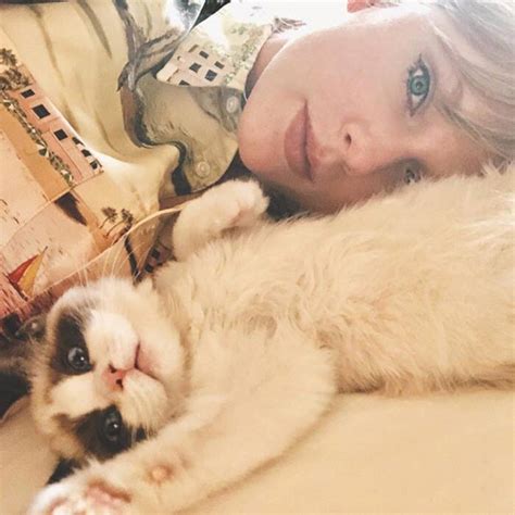 On friday the hollywood reporter revealed that taylor swift is set to star in the film adaptation of andrew lloyd webber's hit musical, cats. Upbeat News - Taylor Swift's Cats Are The Most Googled ...